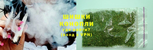 стафф Богданович