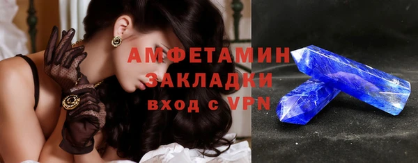 спиды Богородицк