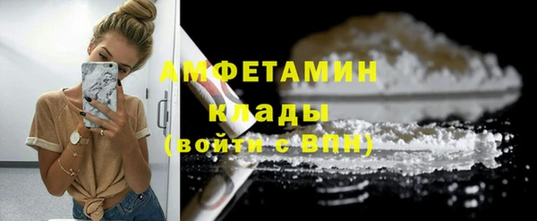 стафф Богданович