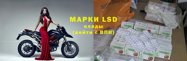 спиды Богородицк
