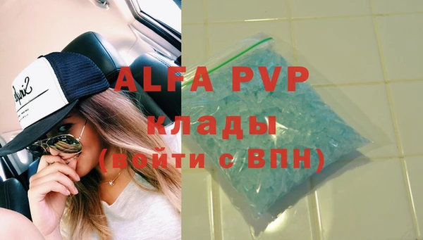 спиды Богородицк